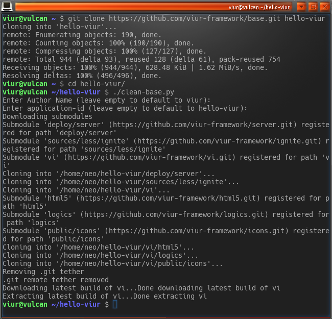 Image showing the output of the steps done to clone the ViUR base repository